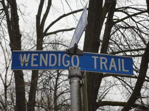 Wendigo Trail, by Amir Syed